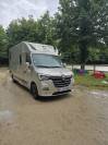 Kleine paardenvrachtwagen (B rijbewijs) Renault Master Grand Confort DCI 165 2020 Tweedehands