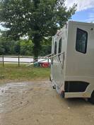Kleine paardenvrachtwagen (B rijbewijs) Renault Master Grand Confort DCI 165 2020 Tweedehands
