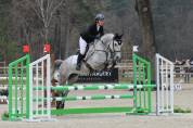 Demi pension sur mon cheval Cami
