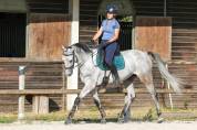 Demi pension sur mon cheval Cami