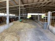 Haras de Reproduction Clé en Main sur 52 ha dans le Morbihan (5