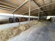 Haras de Reproduction Clé en Main sur 52 ha dans le Morbihan (5