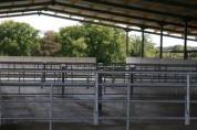 Haras de Reproduction Cl&eacute; en Main sur 52 ha dans le Morbihan (5