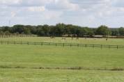Propiedad ecuestre En venta Morbihan
