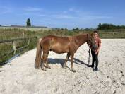 Poney C de 3 ans à vendre
