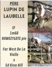 Poulain OC 2025 pie