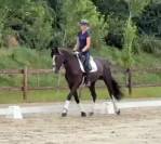 SF 7 ans – 1,74 m-  Top origines - Mental & locomotion