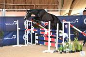 SF 7 ans – 1,74 m-  Top origines - Mental & locomotion