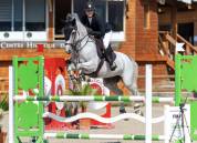 Jument de CSO très rapide  - 9 ans 