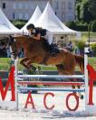 DEPSOM DE JOY – Cheval pour Amateur 1