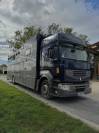 Horsebox NON-HGV Renault Master  2011 Used