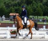 Poney C de sport cso/cce 