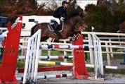 poney D cso perfectionnement 