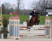 poney D cso perfectionnement 