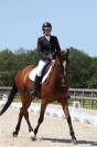 DRESSAGE -Jument de 8 ans - 1,70 m - Zangersheide