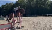Uptoon chouette 5 ans 