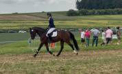 Uptoon chouette 5 ans 