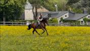 Uptoon chouette 5 ans 