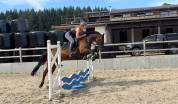 Uptoon chouette 5 ans 