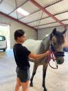 Exceptionnel Yearling par Impérial du Blin x Pondi