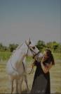? Demi-pension bien-être sur poney retraité – 25 ans –
