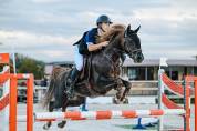 Semental PFS Poni Françés de Silla En venta 2013 Pelo de vaca por ulk d'été