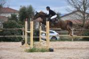 Semental PFS Poni Françés de Silla En venta 2013 Pelo de vaca por ulk d'été