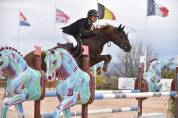 Semental PFS Poni Françés de Silla En venta 2013 Pelo de vaca por ulk d'été