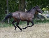 Entier PRE noir 2 ans