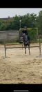 Ponette de sport C - 4 ans