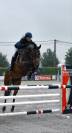 Post cavalière maison et possibilité concours 