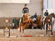 Post cavalière maison et possibilité concours 