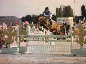Post cavalière maison et possibilité concours 
