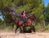 Jument Pure Race Espagnole