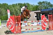 Cheval à vendre 