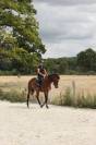 Jument 4 ans sf pour amateur, gentille et facile