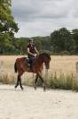 Jument 4 ans sf pour amateur, gentille et facile