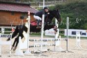 Poney à  la recherche de son nouveau pilote ! 