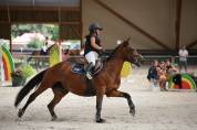 Cheval à vendre 