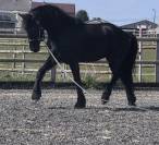Frison plein papiers 3 ans