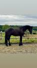 Frison plein papiers 3 ans