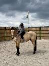 Propose Demi-Pension – Cheval, OC (espagnol/crème)