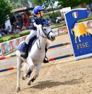 Hongre Autre Race de Poney A vendre 2012 Gris