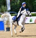 Hongre Autre Race de Poney A vendre 2012 Gris