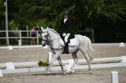 Pony sportivo italiano di 13 anni (h137)