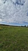 Deghaye Dressage Pension, cours, valorisation,...