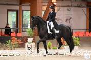 Deghaye Dressage Pension, cours, valorisation,...