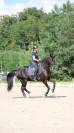 Deghaye Dressage Pension, cours, valorisation,...