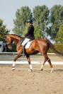 Brave 13 jarige merrie