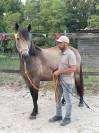 Équi-Résilience – Un autre chemin, avec le cheval